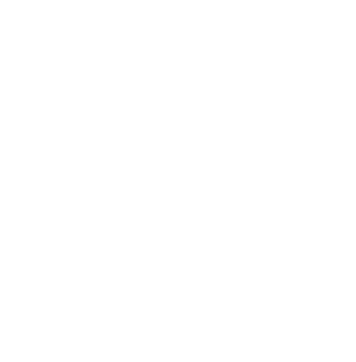 ivvr